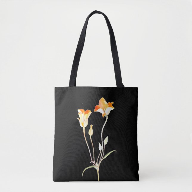 Orange Mariposa Tulip (Vorderseite)