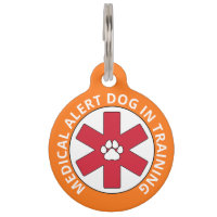 Orange Medical Alert Hund in Training