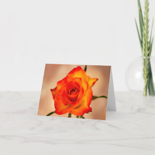 Orange mit einem Hauch von gelber Rose-Grußkarte Dankeskarte