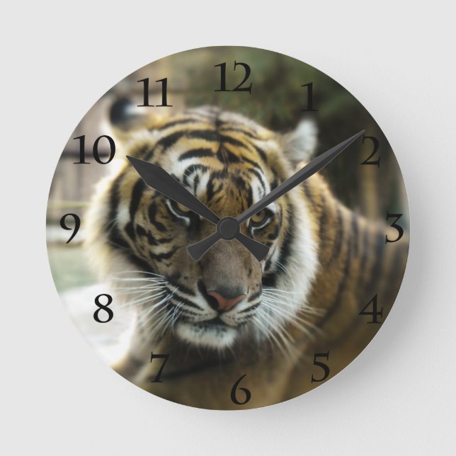 Orange mit schwarzen Streifen Bengalisches TigerFo Runde Wanduhr (Vorderseite)