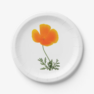 orange Mohnblume Pappteller