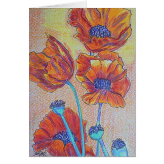 Orange Mohnblumen