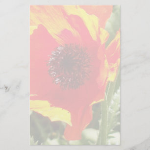 Orange Mohnblumen-Briefpapier Briefpapier