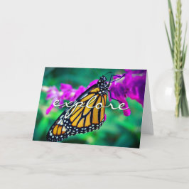 Orange Monarch Butterfly Entdecken Sie Script Mode Karte