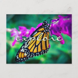 Orange Monarch Butterfly Foto Entdecken Sie Stilvo Postkarte