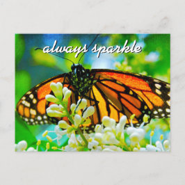 Orange Monarch Butterfly Foto immer funkeln Postkarte