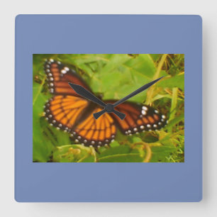 Orange Monarch Quadratische Wanduhr