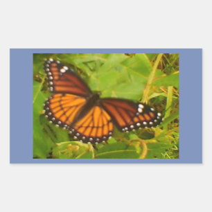 Orange Monarch Rechteckiger Aufkleber