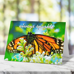 Orange Monarch Schmetterling Fotografie Immer Funk Karte