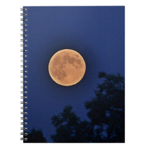 Orange Moon Notebook Notizblock