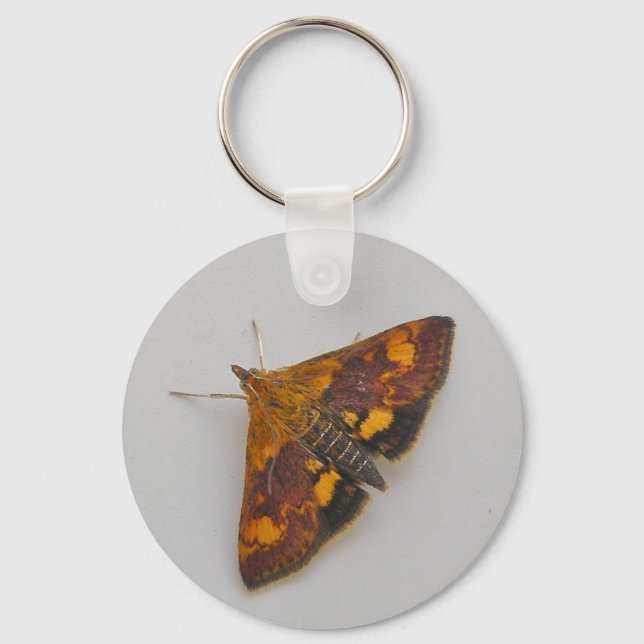 Orange Moth Schlüsselanhänger (Vorderseite)