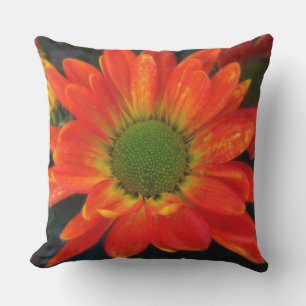 Orange Mums Outdoor Accent Pillow Kissen