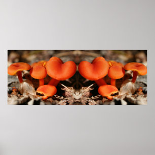 Orange Mushroom Family Mirror Abstrakt Poster