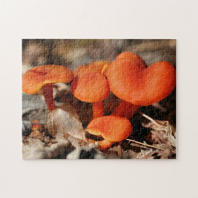 Orange Mushroom Family Nature Puzzle (Horizontal)