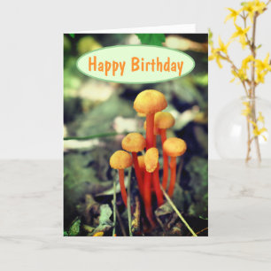 Orange Mushrooms Nature Birthday Karte
