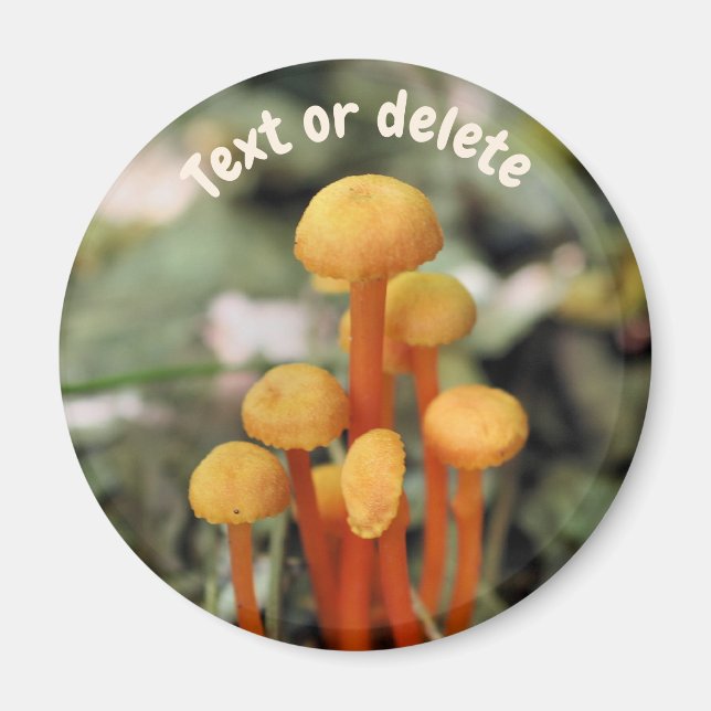 Orange Mushrooms Nature Personalized Magnet (Vorne)