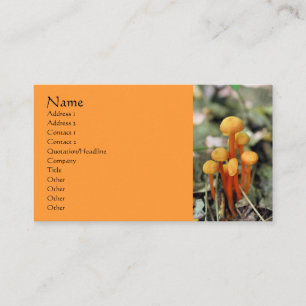 Orange Mushrooms Naturofotografie Business Card Visitenkarte