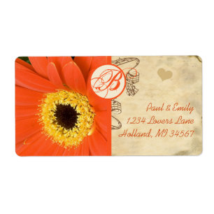 Orange Musical Gerber Daisy Gray Musical Notes