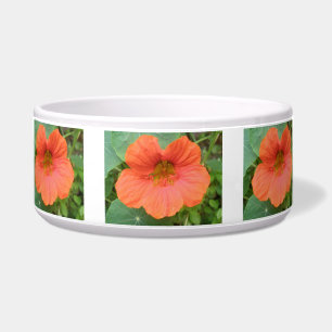 Orange Nasturtium Blume Dog Bowl Napf