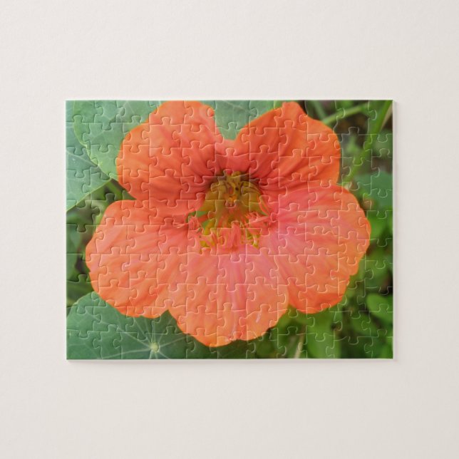 Orange Nasturtium Blume Puzzle (Horizontal)