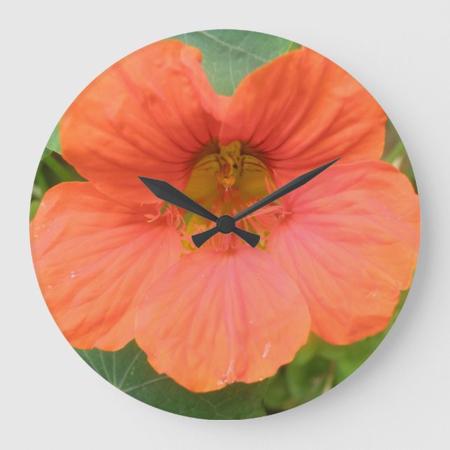 Orange Nasturtium Blume Wall Clock Große Wanduhr (Vorderseite)