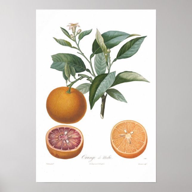 Orange, Orange de Malte Poster (Vorne)