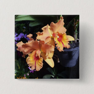 Orange Orchideecorsage-Button Button