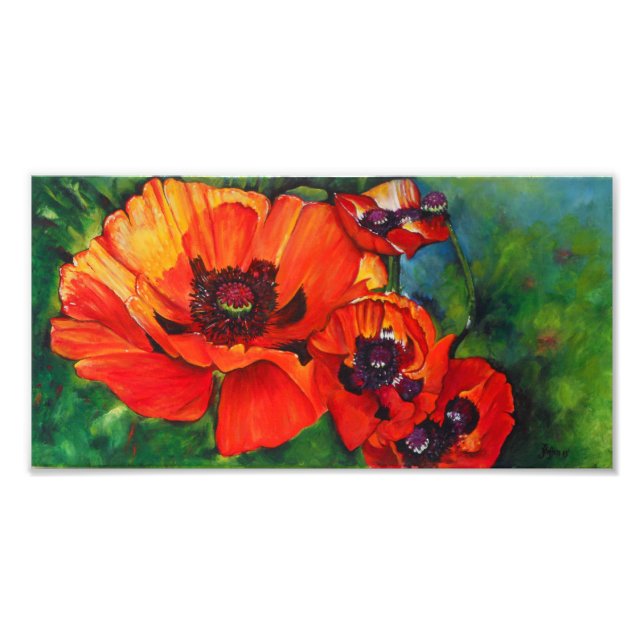 Orange Oriental Poppies | FOTO (Vorne)