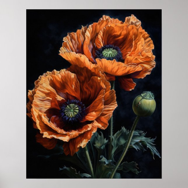Orange Oriental Poppy Blume Art Print Poster (Vorne)