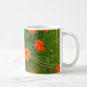 Orange Oriental Poppy Tasse