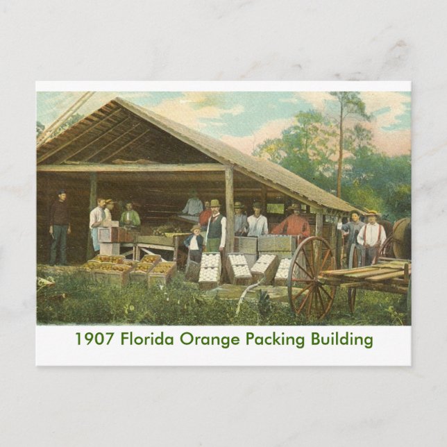 Orange Packing Gebäude Postkarte (Vorderseite)