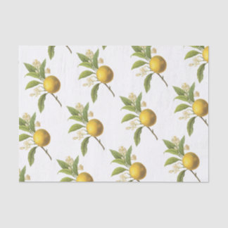 Orange Pattern Seidenpapier