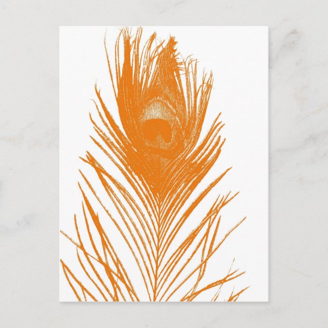 Orange Peacock Feather Postcard Postkarte (Vorderseite)