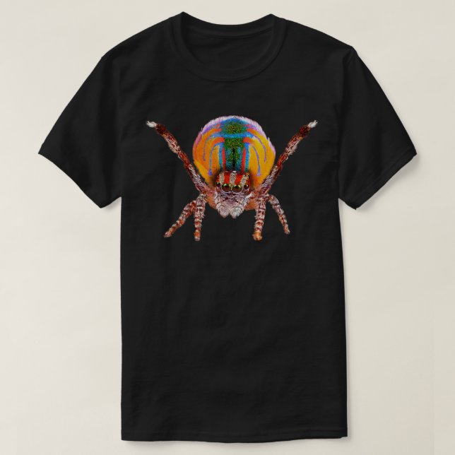 Orange Peacock Spider T-Shirt (Design vorne)