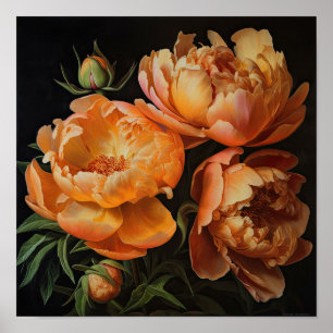 Orange Peonies Blume Art Print Poster