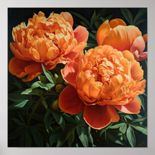 Orange Peonies Blume Art Print Poster
