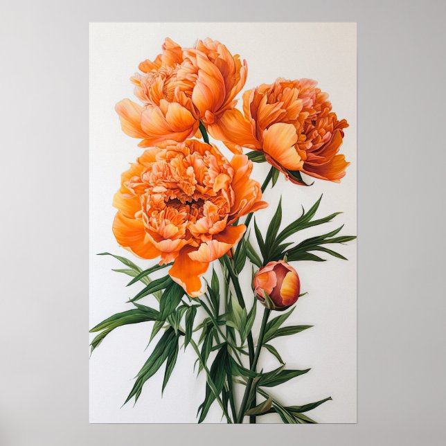 Orange Peonies Blume Art Print Poster (Vorne)