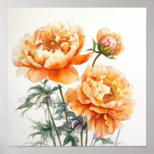 Orange Peonies Blume Art Print Poster