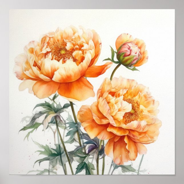 Orange Peonies Blume Art Print Poster (Vorne)