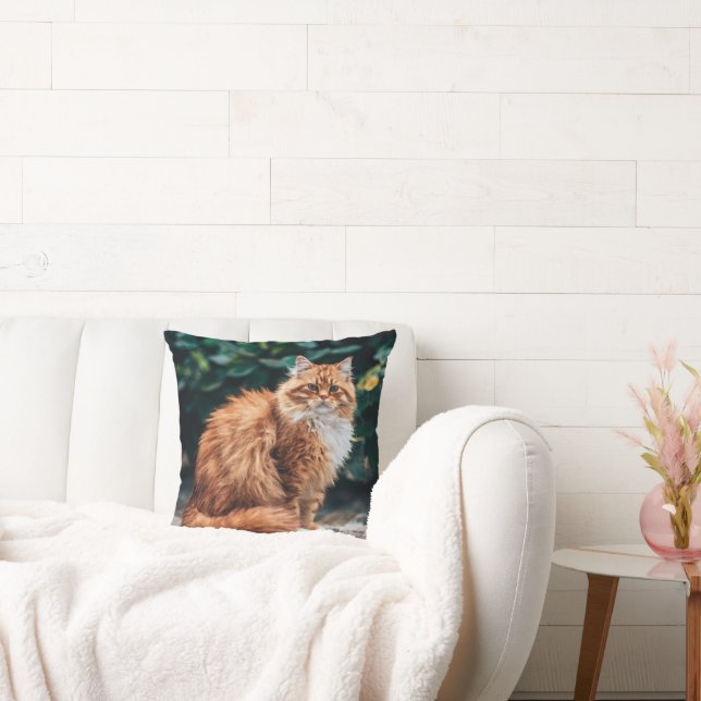 Orange Persian Cat Kissen (Liege)
