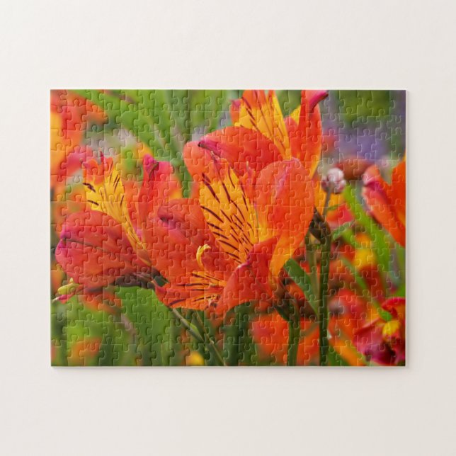 Orange Peruvian Lly Jigsaw Puzzle (Horizontal)