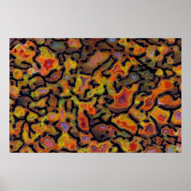 Orange Petrified Dinosaur Bone Poster (Vorne)