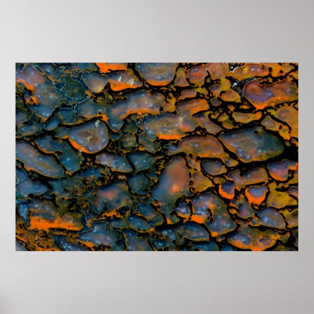 Orange Petrified Dinosaurierknochen Poster (Vorne)