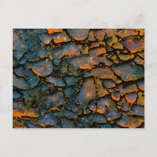 Orange Petrified Dinosaurierknochen Postkarte