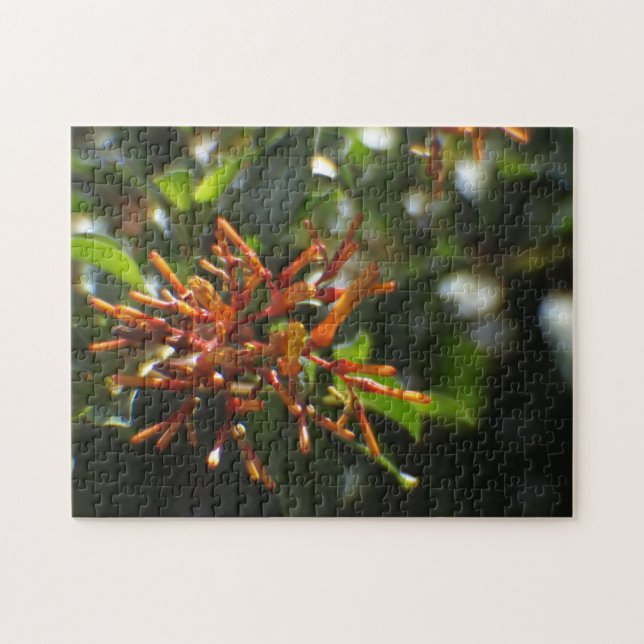 Orange Pflanze Puzzle (Horizontal)