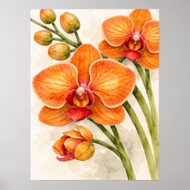 Orange Phalaenopsis Orchid Botanical Watercolor Poster