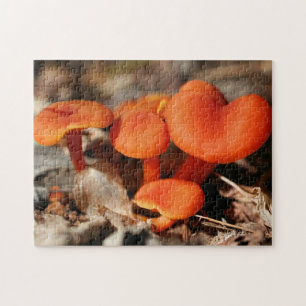 Orange Pilzfamilie Natur Puzzle