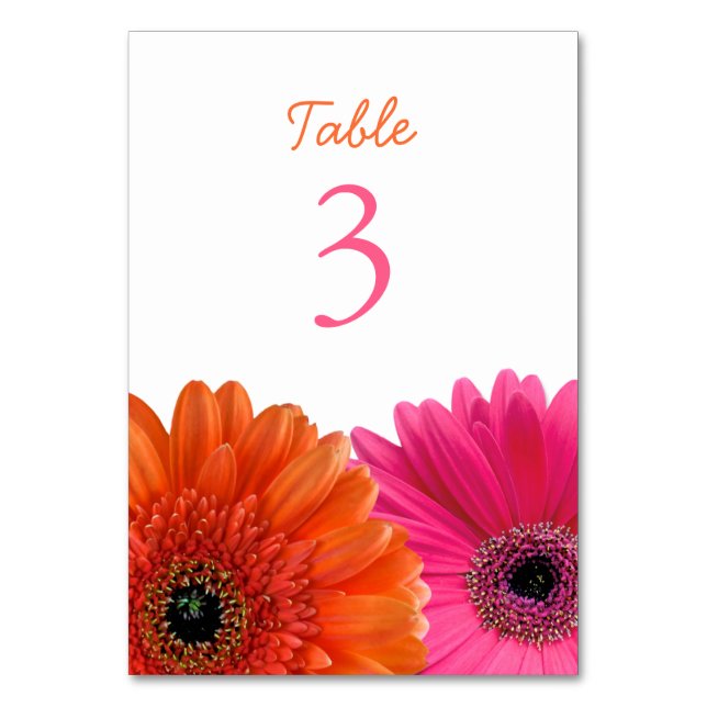 Orange Pink Gerbera Gerber Daisy White Wedding Tischnummer (Vorderseite)