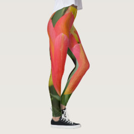 Orange/Pink Tulip Leggings