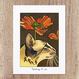 Orange Poppies Cat Thinking Custom Postkarte